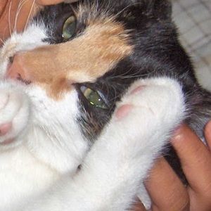 Meet your Posher, Amisha